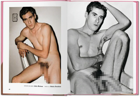 The Little Big Penis Book
