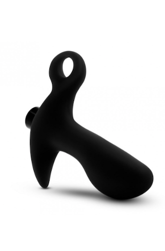 Anal Adventures #01 Prostate Vibe