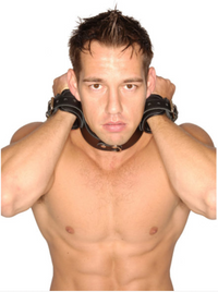 Strict Leather "Wrist to Neck" Restraints