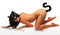 Tailz Cat Tail Anal Plug and Mask Set