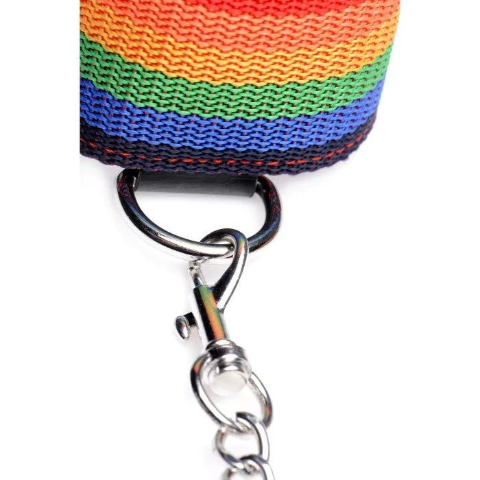 MS Kinky Pride "Rainbow" Bondage Set