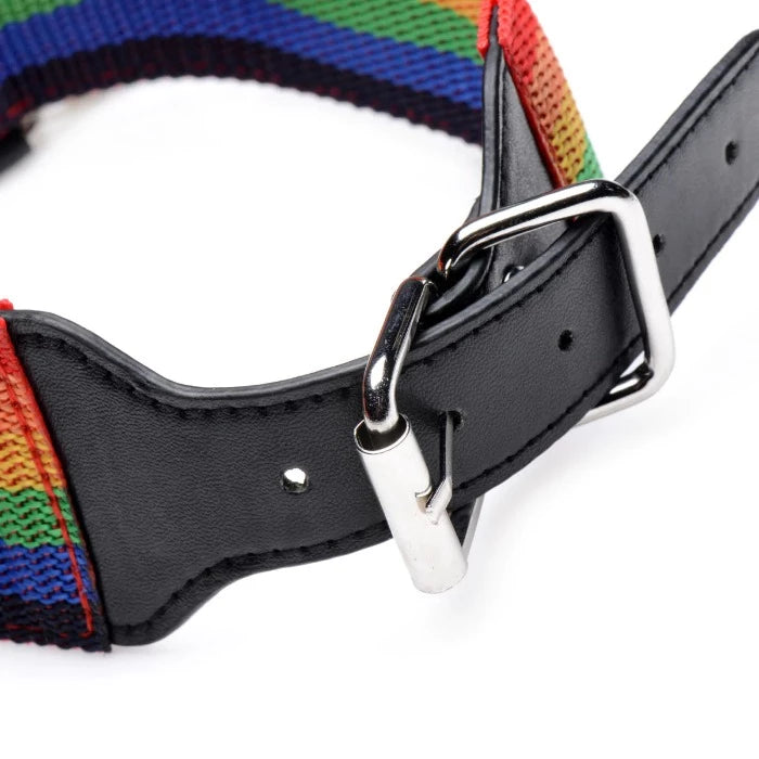 MS Kinky Pride "Rainbow" Bondage Set