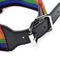 MS Kinky Pride ''Rainbow'' Bondage Set