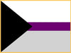 ''Demisexual'' Pride Flag -Lapel Pin