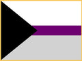 ''Demisexual'' Pride Flag -Lapel Pin