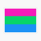 ''Polysexual'' Pride Flag -Sticker 3''x 5''