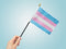 ''Transgender'' Pride -Stick Flag 4 x 6''