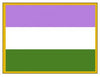 ''Genderqueer'' Pride Flag -Lapel Pin