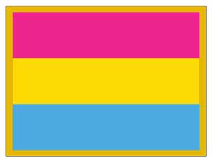 ''Pansexual'' Pride Flag -Lapel Pin