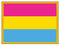 ''Pansexual'' Pride Flag -Lapel Pin