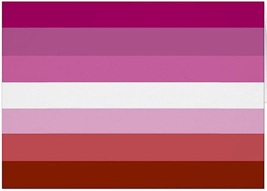 ''Lesbian'' Pride Flag 3 x 5 ft