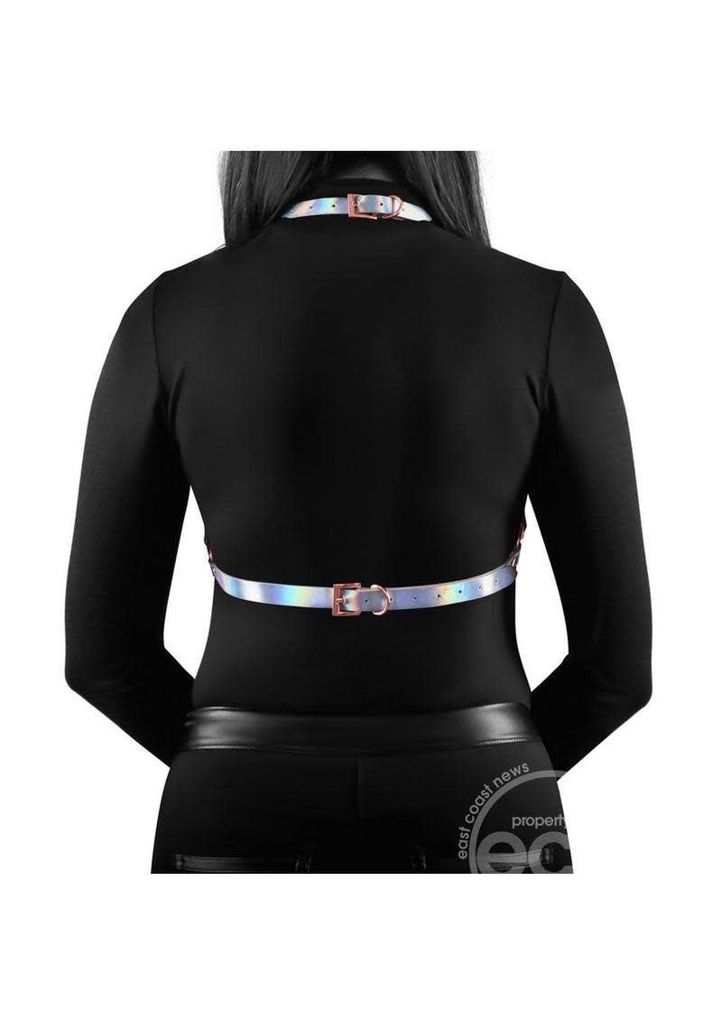 Cosmo "Crave" Harness -Rainbow