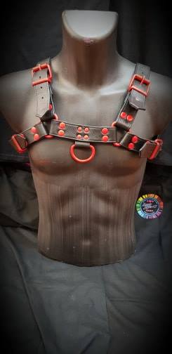 Titus Bulldog Harness
