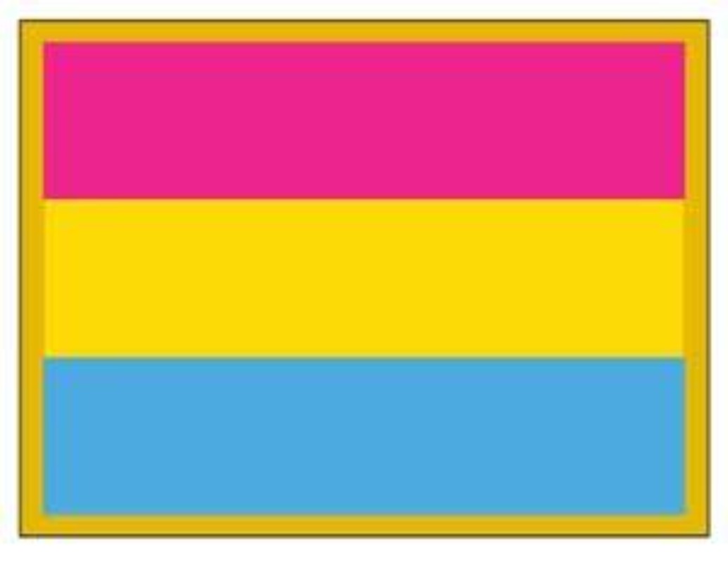 ''Pansexual'' Pride Flag -Lapel Pin